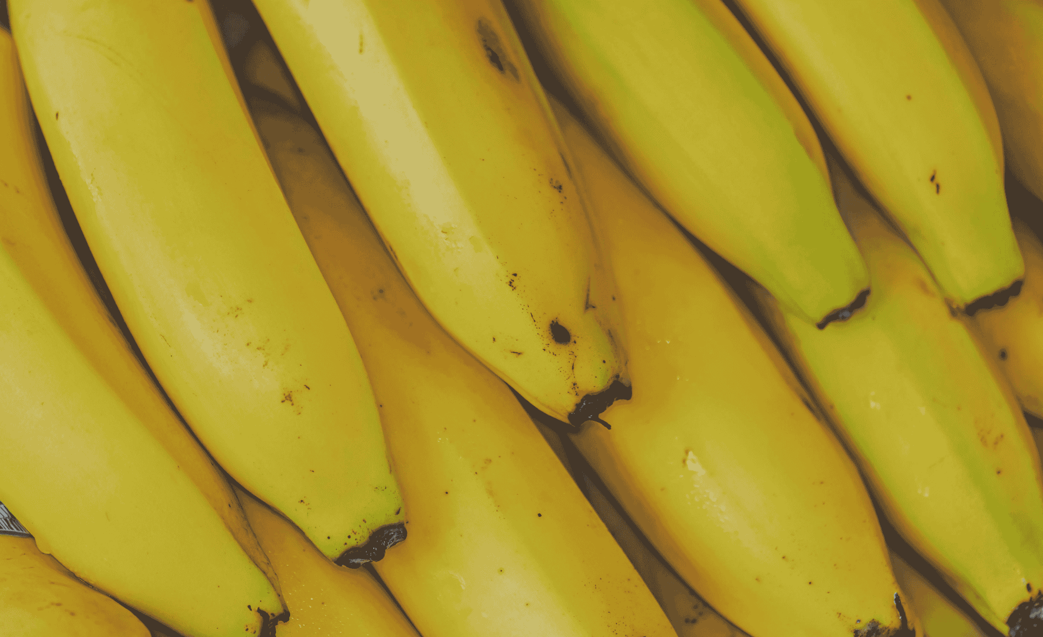 Are Bananas Healthy?